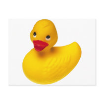 Rubber Ducky - Your the One Postcard