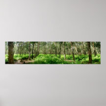Rubber tree forest posters