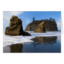 Ruby Beach Cards