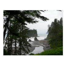 Ruby Beach Postcard