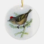 Ruby-crowned Kinglet ornament
