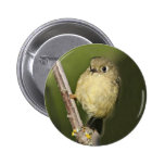 Ruby-crowned Kinglet Pin