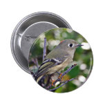 Ruby-crowned Kinglet Pinback Button