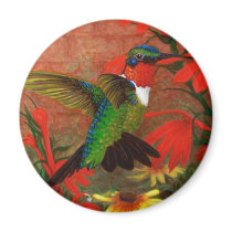 Ruby Hummingbird Fridge Magnets