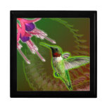 Ruby Red Hummingbird and Fuchsia Gift Box