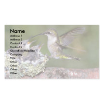 Ruby-throated Hummingbird (female) with young Business Card
