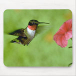 Ruby-throated Hummingbird (male) with petunia Mouse Pad