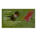 Ruby-throated Hummingbird (male) with petunia Pink Business Card Templates