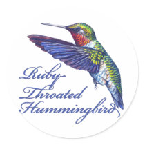 Ruby Throated Hummingbird Scripted Round Stickers