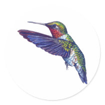 Ruby Throated Hummingbird Stickers