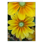 Rudbeckia, Blank Card