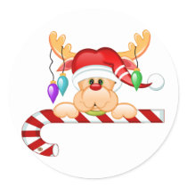 Rudolph Candy Cane