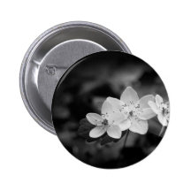 Rue Anemone Pinback Buttons