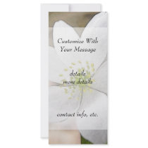 Rue Anemone - Thalictrum thalictroides Rack Card Design