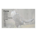 Ruffed grouse drumming business card