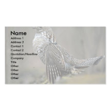 Ruffed grouse drumming business card