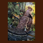 Ruffed Grouse in the Forest posters