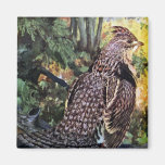 Ruffed Grouse in the Forest Refrigerator Magnet