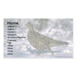 Ruffed grouse standing in snowy woods business card