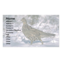 Ruffed grouse standing in snowy woods business card