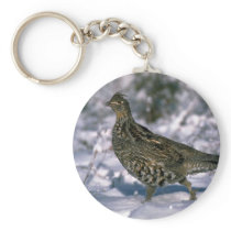 Ruffed grouse standing in snowy woods keychains
