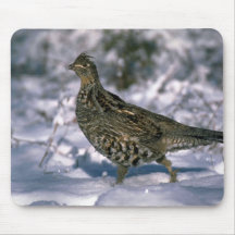 Ruffed grouse standing in snowy woods mouse pad