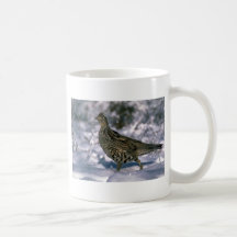 Ruffed grouse standing in snowy woods mugs