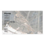 Ruffed grouse standing on a birch log business card template