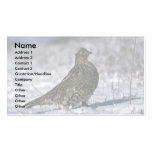 Ruffed grouse standing on snowy ground business card