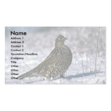 Ruffed grouse standing on snowy ground business card