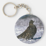 Ruffed grouse standing on snowy ground keychains