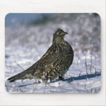 Ruffed grouse standing on snowy ground mousepads