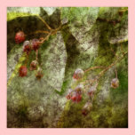 Ruffled Berries posters