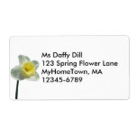 Ruffled Daffodil ~ label