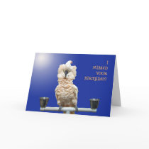 Ruffled Feathers Greeting Card
