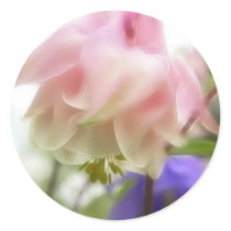 Ruffled Pink Aquilegia (Columbine) Round Sticker