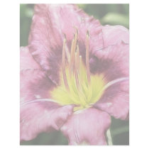 Ruffled Pink Daylily