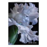 Ruffles Greeting Cards