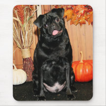 Ruffy - Pug - Photo-7 Mouse Pads