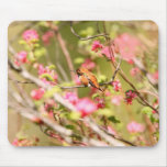 Rufous Hummingbird and Flowers Mouse Pad