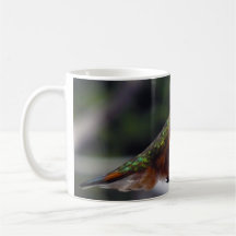 Rufous Hummingbird - Mugs