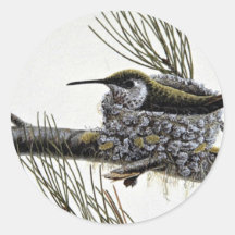 Rufous hummingbird round sticker
