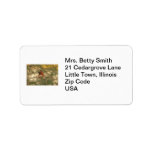Rufous Hummingbird Sitting Personalized Address Labels