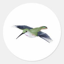 Rufous Hummingbird Sticker