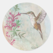 Rufous Hummingbird Stickers