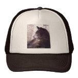 Ruggles Trucker Hat