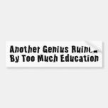 Ruined Genius Bumper Stickers