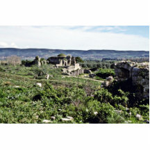 Ruins Of Ancient Greek City Of Miletus - Milet Acrylic Cut Out