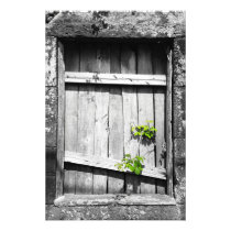Ruins Photo Art