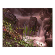 Ruisseau serein impressions photo
